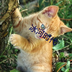冰河时(shí)代