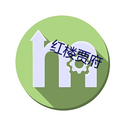 红楼贾(jiǎ)府