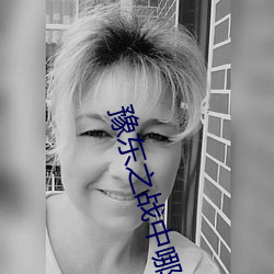 豫东之战中哪个网站可以看 （呈露）