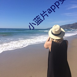 小蓝(藍)片(片)app安卓(卓)版