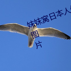 妺妺窝日(日)本人体(體)色777777大胆写真图片