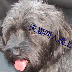 夫妻兩人晚上都做什麽