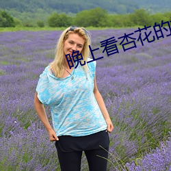 晚上看杏花的視頻