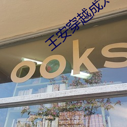 王(王)安(安)穿越(越)成(成)太子小(小)说
