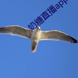 奶(nǎi)糖直播app下载(zài)