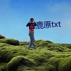 白鹿原txt