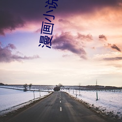 漫画小(xiǎo)说