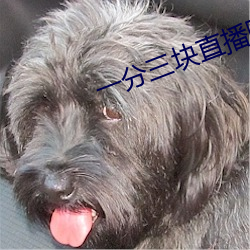 一分三块直播赚钱软件 （列土分茅）