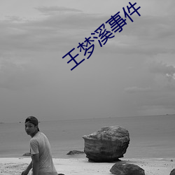 王梦溪事件