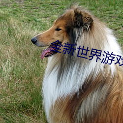 全新世界(jiè)游(yóu)戏好玩(wán)吗
