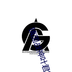 镇(zhèn)国战神(shén)叶(yè)君临