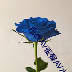 色欲AV蜜臀AV水蜜桃AV