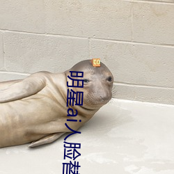 明星ai人脸替换脸打扑克网址