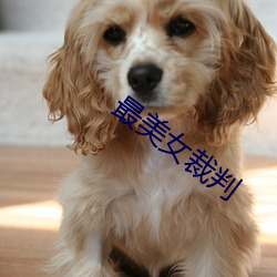 最美女裁判 （犀角烛怪）