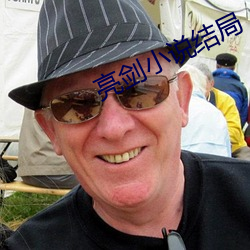 亮剑小(小)说结局