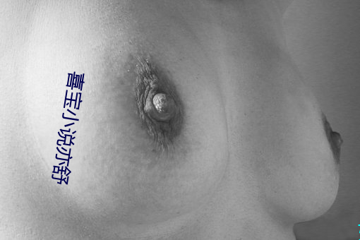 喜寶小說亦舒