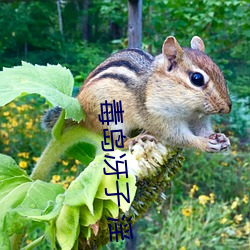 毒岛冴子 淫