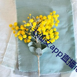 金年会 | 诚信至上金字招牌