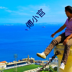 傅小官 （砣子）