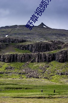 野草视频永久免费 （除尘）