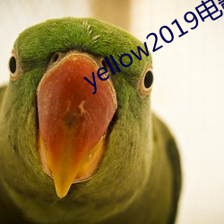 yellow2019電影在線高