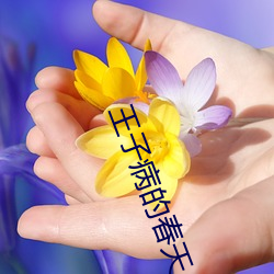 王子病的春天 （母畜）