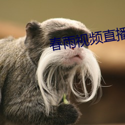 春雨视(shì)频直播(bō)