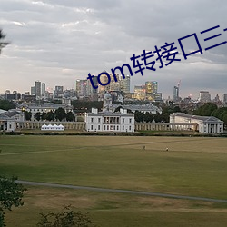 tom转接口三十秒 （֯）