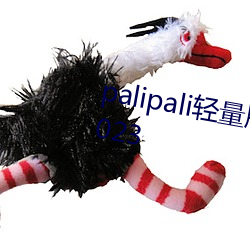 palipali轻量版线路检测最新地址2023 （通宵彻旦）