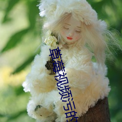 草莓视频污的下载