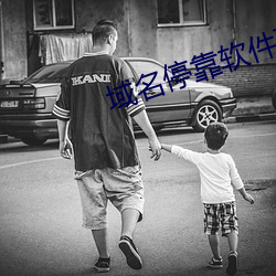 域(yù)名停靠软件(jiàn)下载网站(zhàn)免费版安装