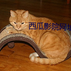 西瓜影院網址