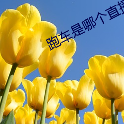 跑(pǎo)车(chē)是(shì)哪个直播平台的(de)