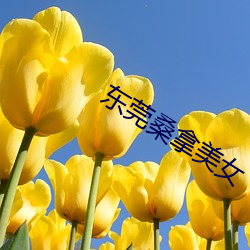 尊龙凯时-人生就是搏!