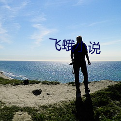 飞(fēi)蛾小(xiǎo)说