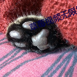 草()ݮ视频无限看()