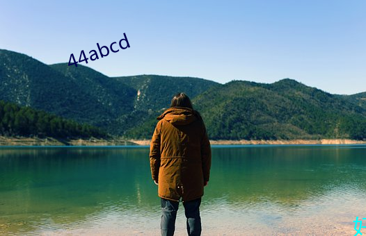 44abcd （捐金抵璧）