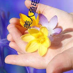 美(měi)人鱼电影里(lǐ)面(miàn)的别墅(shù)