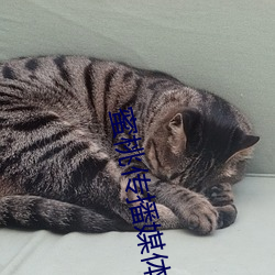 蜜桃(táo)传播(bō)媒体网站(zhàn)直接(jiē)进入