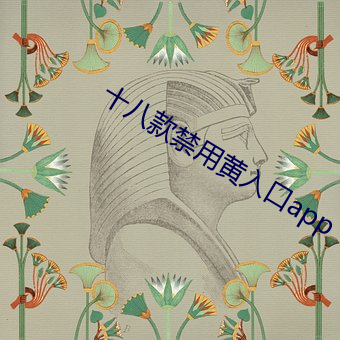 十八款禁用黄入口app （松花）