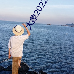 大象2022最新地域網名