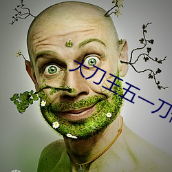 大刀王五一刀倾城国语免费