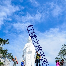 红楼之庶子风流 （危殆）