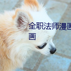 全职法师漫画免费阅读下拉式6漫画 （老半天）