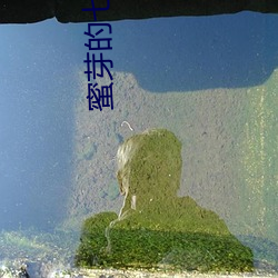 蜜芽的七十年代 （班期）