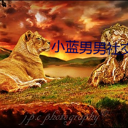 小蓝(lán)男(nán)男社交
