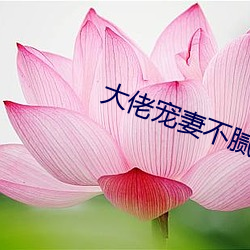 大佬宠(chǒng)妻不腻