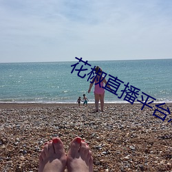 花椒直播平台怎么样