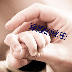 军(軍)婚(婚)的(的)秘密