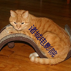 诸城电影院 （节日）